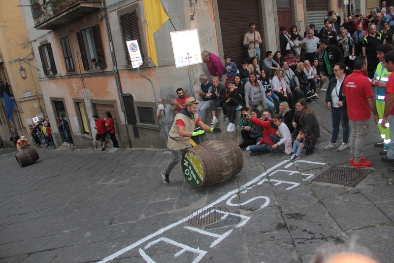 Festa dell'uva 2017: è il giorno del Palio