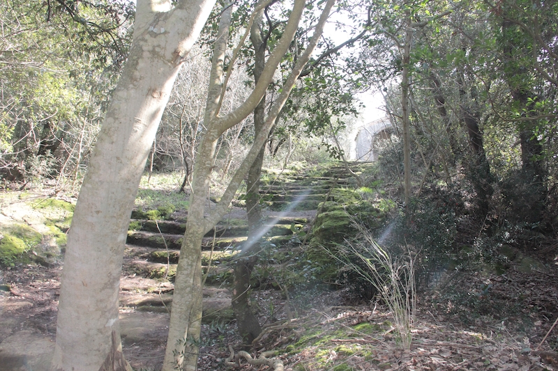 Lo spettacolo unico della Giornata Fai a Capodimonte e Isola Bisentina