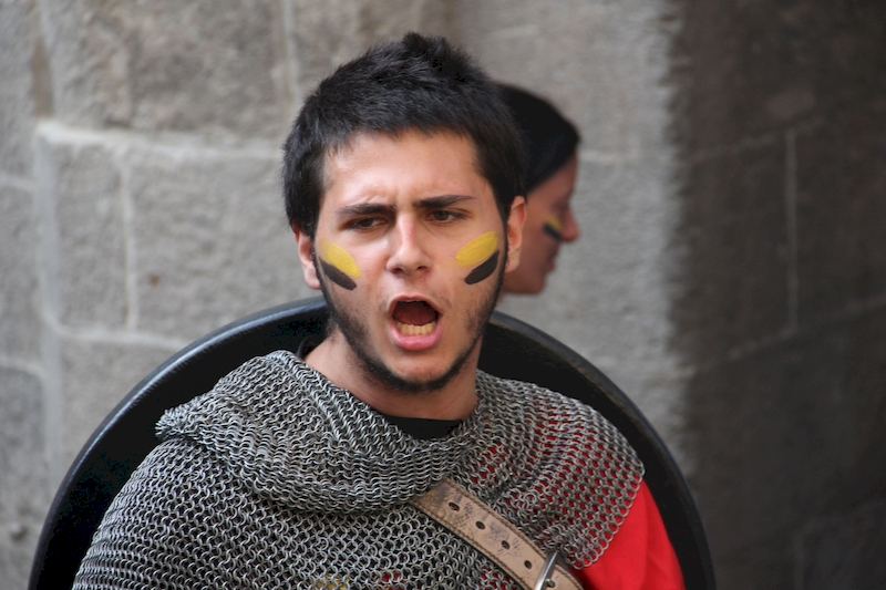 Ludika11243 - La battaglia campale a Valle Faul