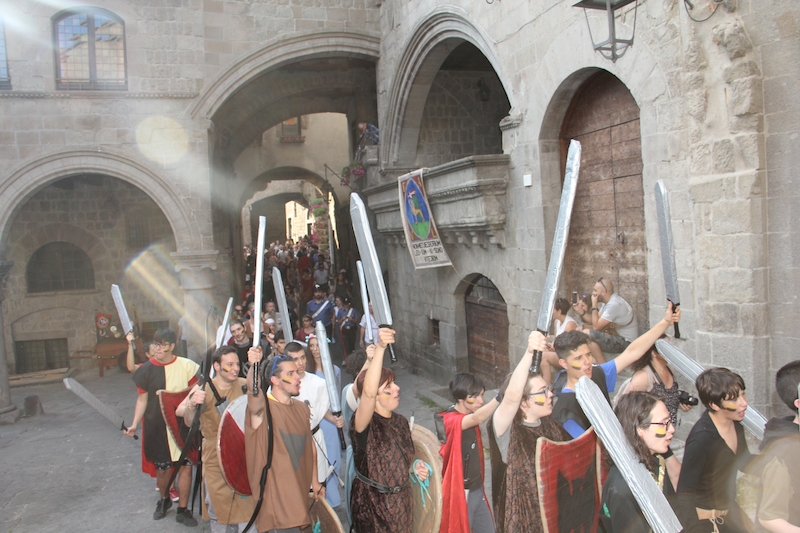 Ludika11243 - La battaglia campale a Valle Faul