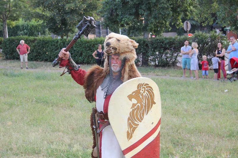 Ludika11243 - La battaglia campale a Valle Faul