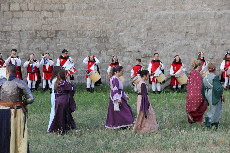 Ludika11243 - La battaglia campale a Valle Faul