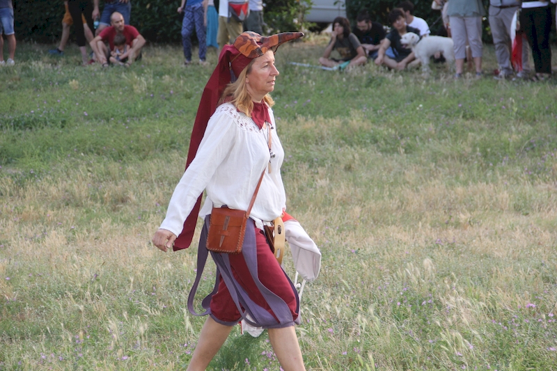 Ludika11243 - La battaglia campale a Valle Faul