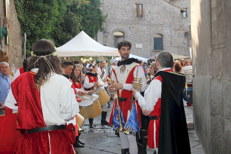 Ludika11243 - La battaglia campale a Valle Faul