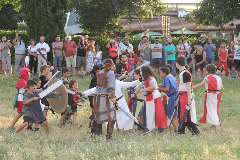 Ludika11243 - La battaglia campale a Valle Faul