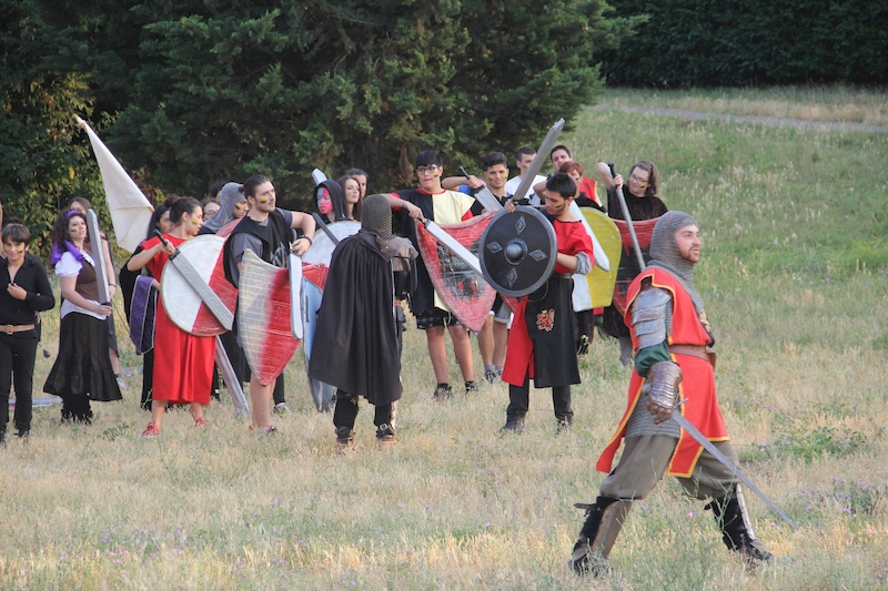 Ludika11243 - La battaglia campale a Valle Faul