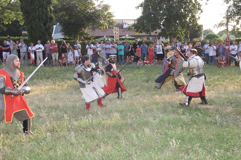 Ludika11243 - La battaglia campale a Valle Faul