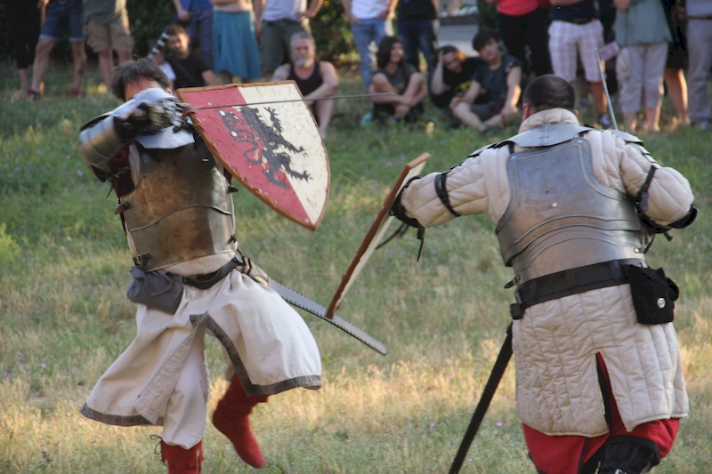 Ludika11243 - La battaglia campale a Valle Faul