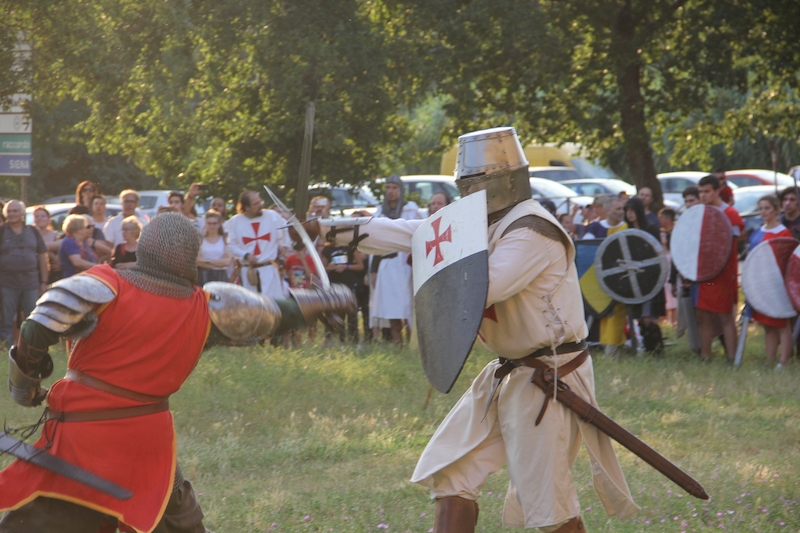 Ludika11243 - La battaglia campale a Valle Faul