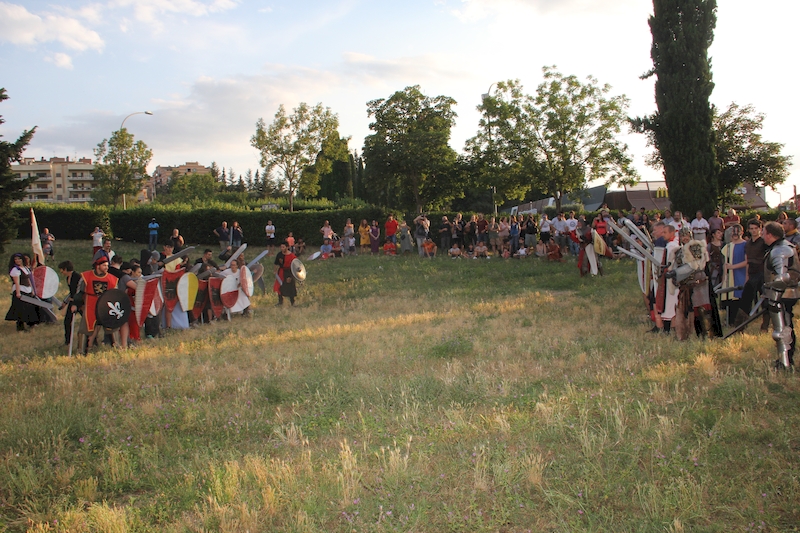 Ludika11243 - La battaglia campale a Valle Faul