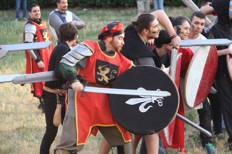 Ludika11243 - La battaglia campale a Valle Faul