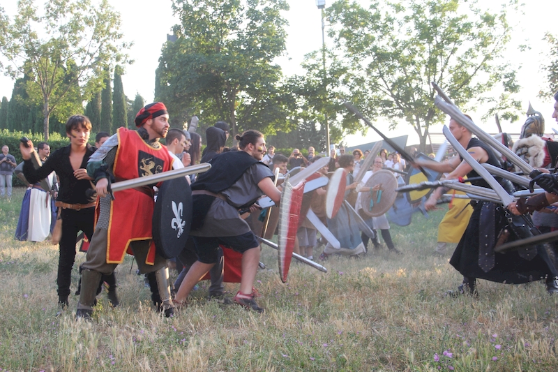 Ludika11243 - La battaglia campale a Valle Faul