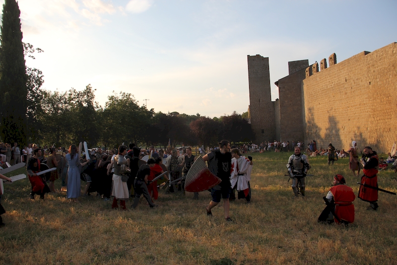 Ludika11243 - La battaglia campale a Valle Faul