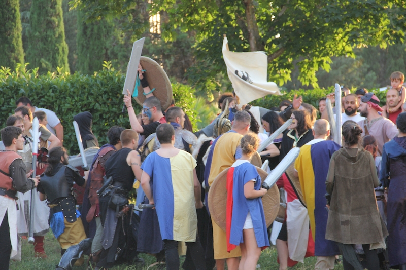 Ludika11243 - La battaglia campale a Valle Faul