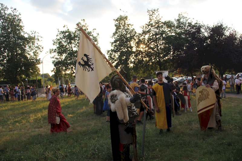 Ludika11243 - La battaglia campale a Valle Faul