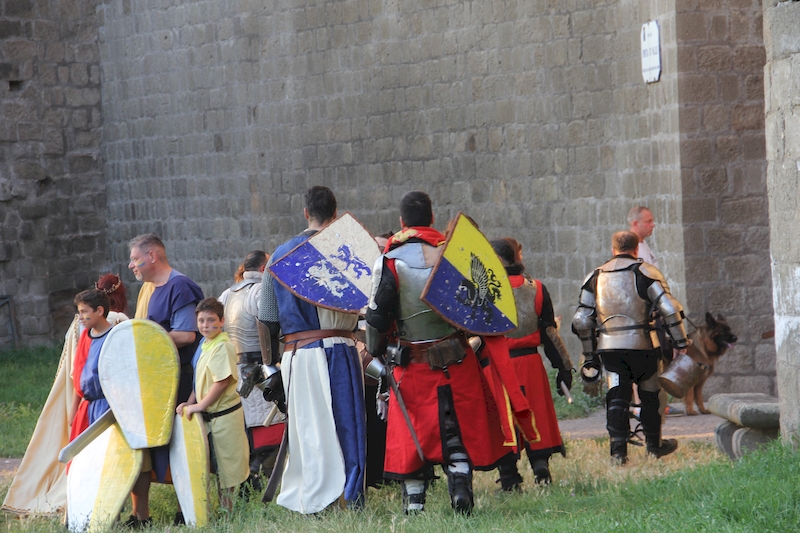 Ludika11243 - La battaglia campale a Valle Faul