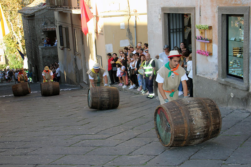 Palio delle botti: l'atto finale della Festa dell'uva