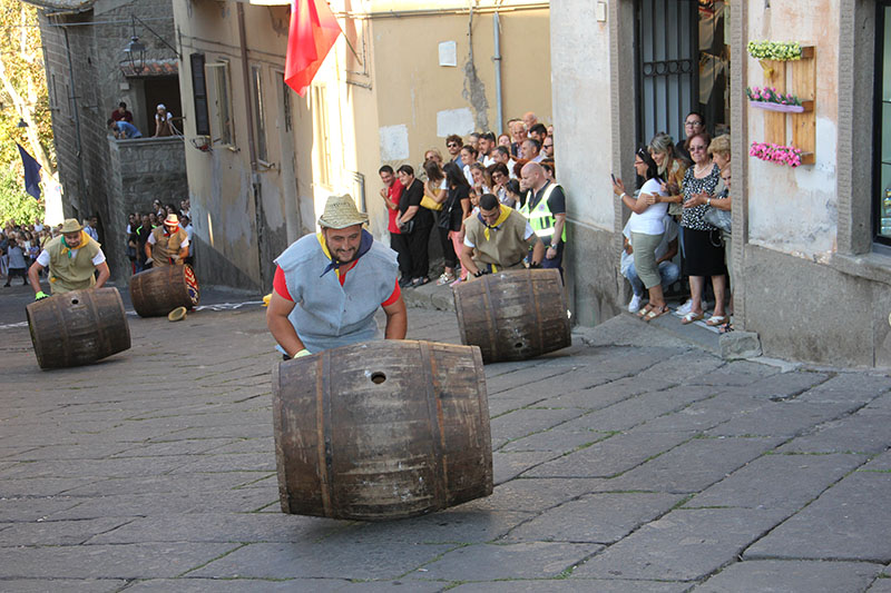 Palio delle botti: l'atto finale della Festa dell'uva