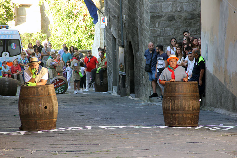 Palio delle botti: l'atto finale della Festa dell'uva