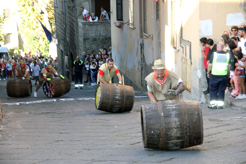 Palio delle botti: l'atto finale della Festa dell'uva