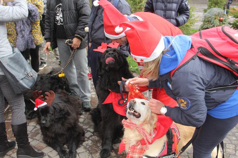 Corsa Babbi Natale 2019
