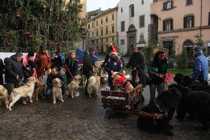 Corsa Babbi Natale 2019