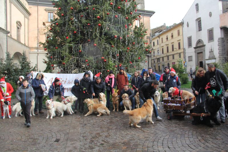 Corsa Babbi Natale 2019