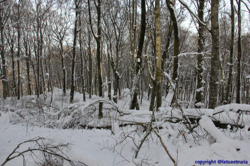Neve nella Tuscia: fine settimana sulla Faggeta