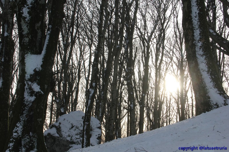 Neve nella Tuscia: fine settimana sulla Faggeta