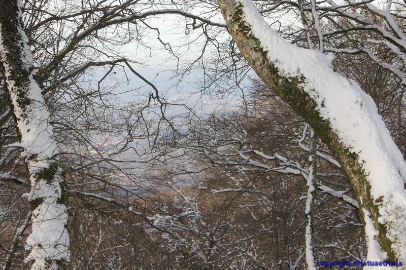 Neve nella Tuscia: fine settimana sulla Faggeta