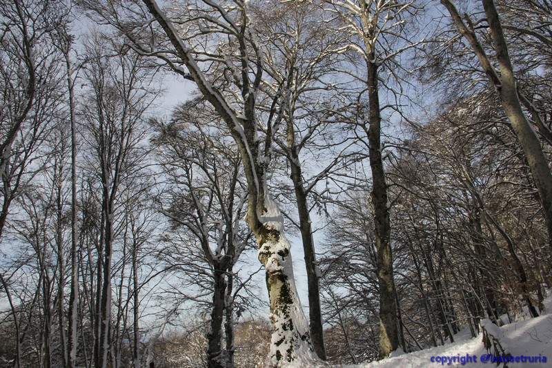 Neve nella Tuscia: fine settimana sulla Faggeta