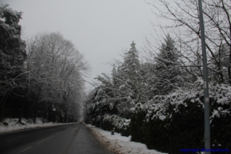 Neve nella Tuscia: Viterbo, Bagnaia e il Cimino. Le foto più belle