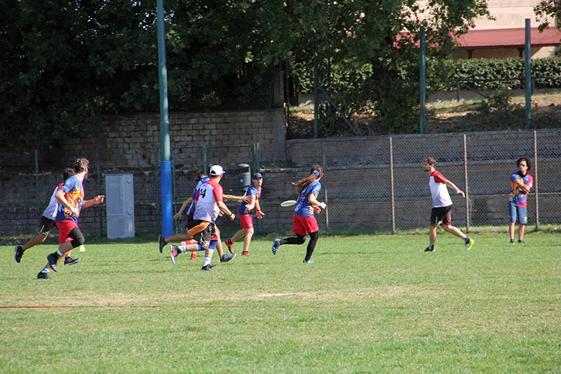 Torneo Ultimate Frisbee