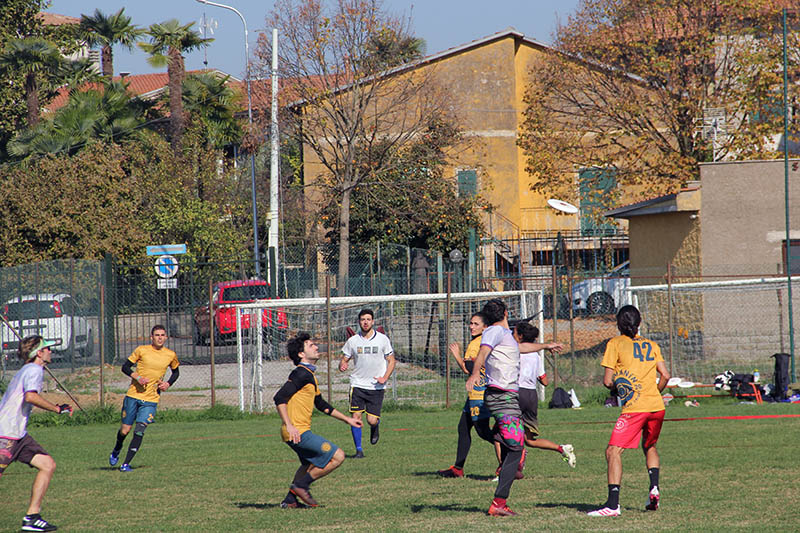 Torneo Ultimate Frisbee