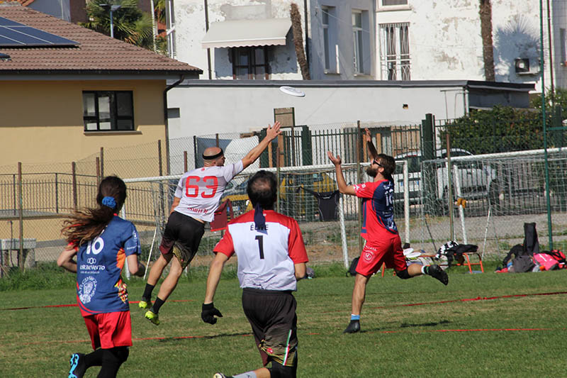 Torneo Ultimate Frisbee