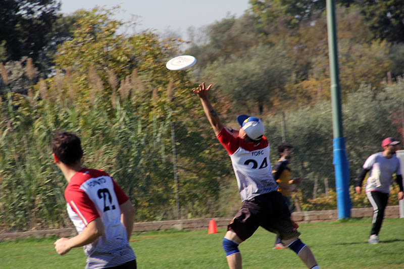 Torneo Ultimate Frisbee