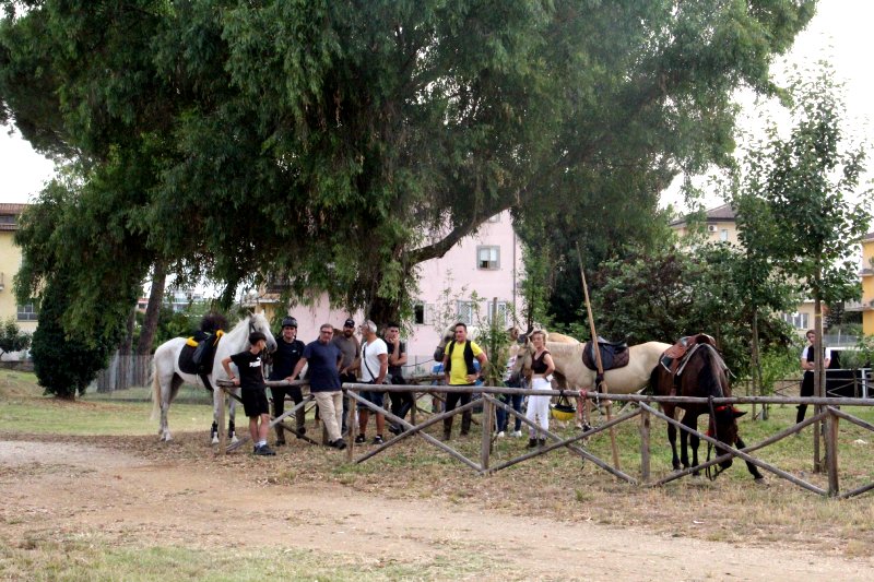 Palio dei Borgia 24 - Nepi