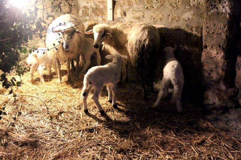 Presepe Vivente Civita di Bagnoregio 2024/25