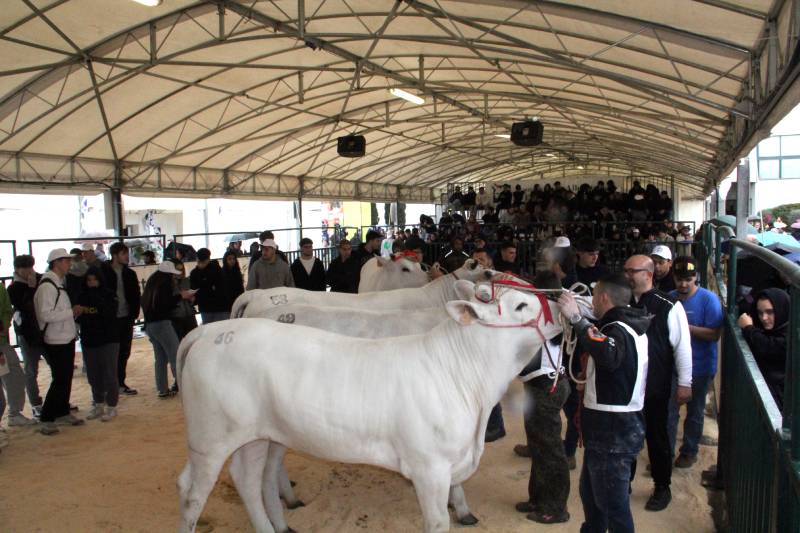 Agriumbria - la filiera vincente