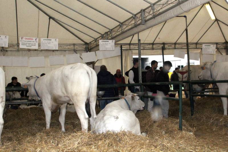 Agriumbria - la filiera vincente