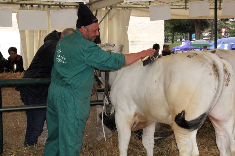Agriumbria - la filiera vincente
