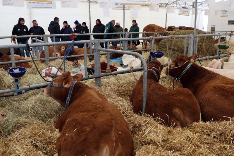 Agriumbria - inaug. 57ª edizione
