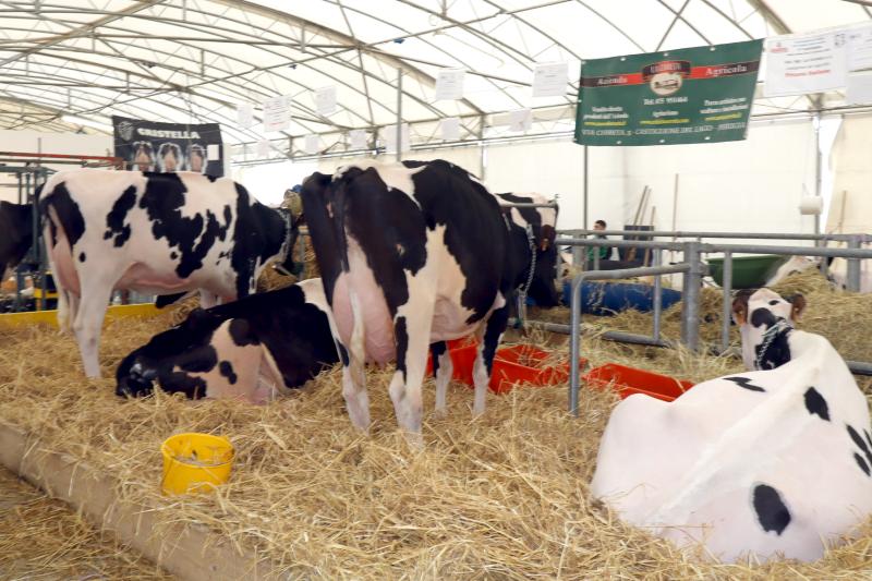 Agriumbria - inaug. 57ª edizione
