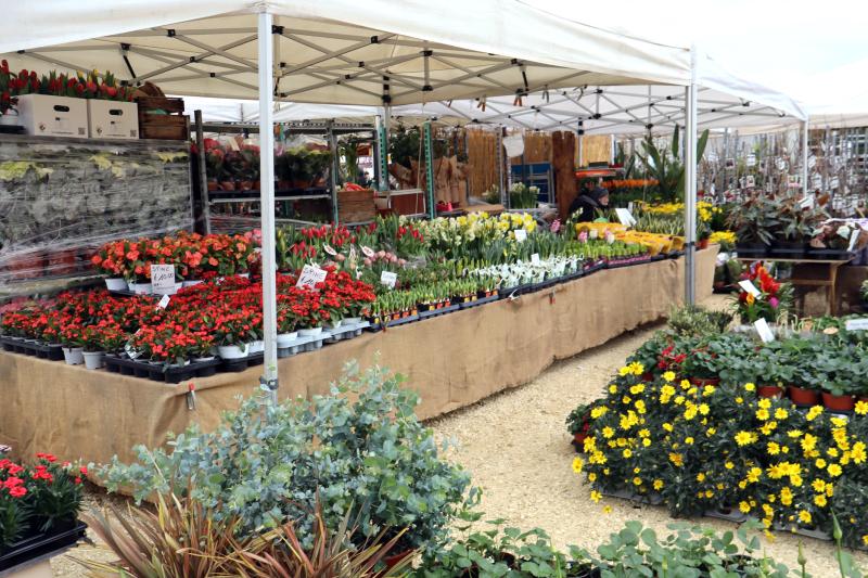 Agriumbria - inaug. 57ª edizione
