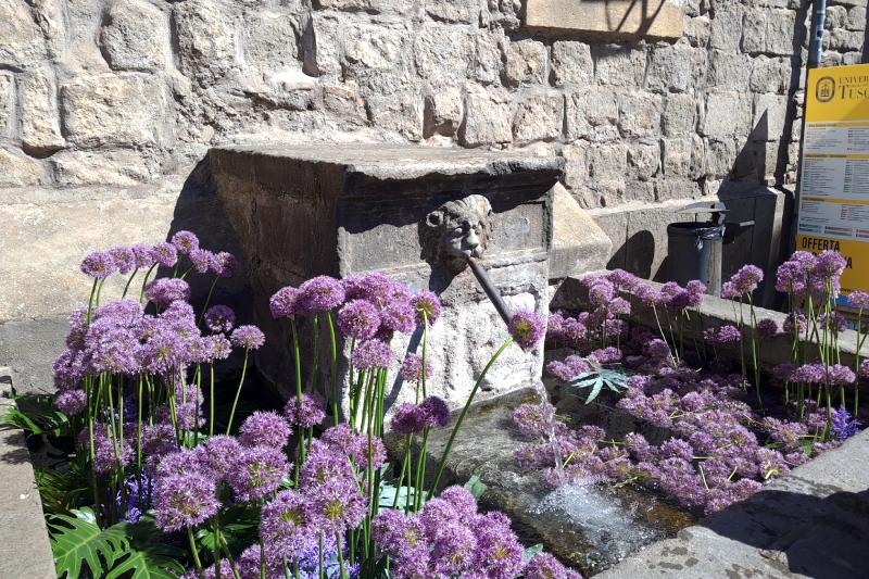 San Pellegrino in fiore 2026
