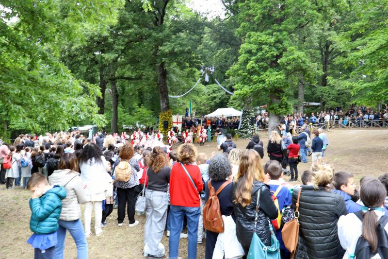 Sposalizio dell'Albero - Vetralla