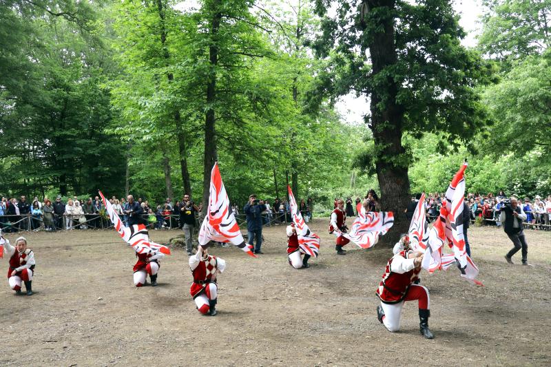 Sposalizio dell'Albero - Vetralla