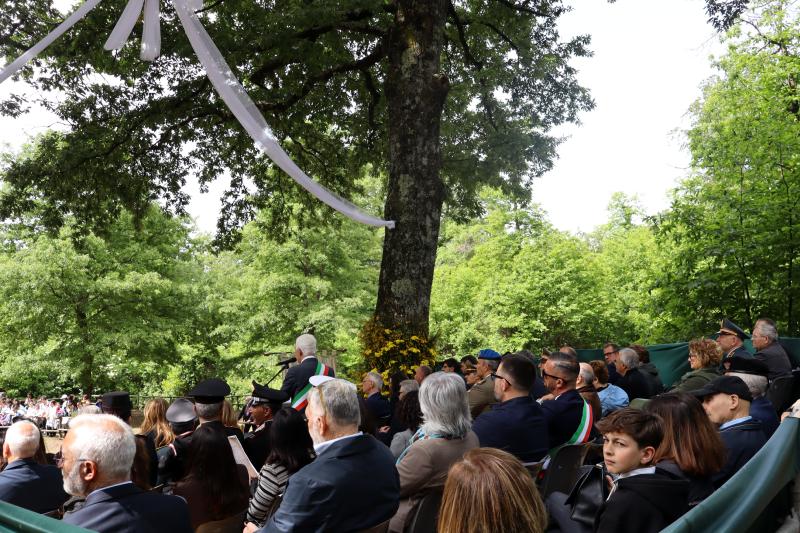 Sposalizio dell'Albero - Vetralla